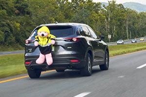 Teddy bear strapped to back of car
