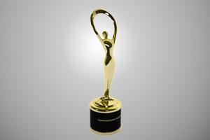 Communicator Award