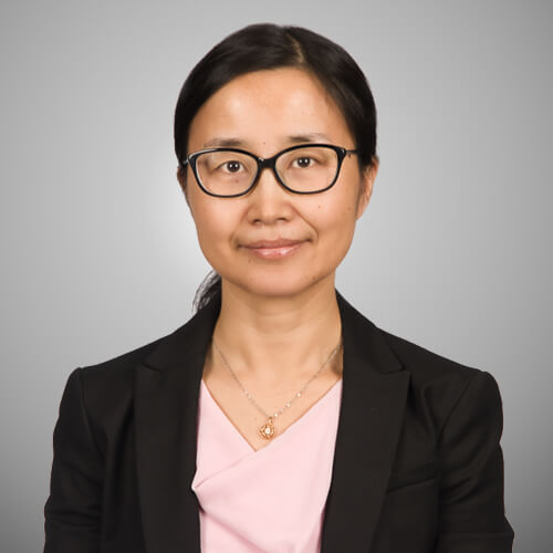 Lin Li - Westat